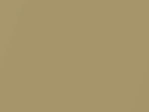 Mojave Tan Metallic touch-up paint for Hummer H1, code 904231, T32, 2005