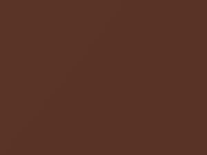 BMW Copper Metallic/Kupfer Metallic touch up paint A06 2005 All Models