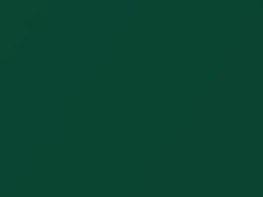 Motor Sport Green Metallic touch-up paint for Lotus, code B75, 2017