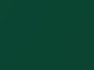 Motor Sport Green Metallic touch-up paint for Lotus, code B75, 2017