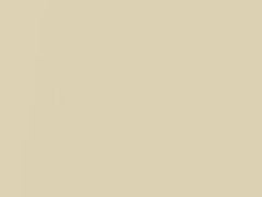 Vanilla Cream Pearl touch-up paint for Volvo, code 491, 2010