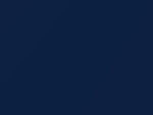 BMW Le Mansblau Metallic touch up paint 381 2005 All Models