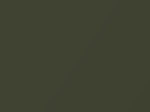 Canteen Green Metallic touch-up paint for Nissan Armada, code D13, 2004