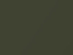 Canteen Green Metallic touch-up paint for Nissan Frontier, code D13, 2003