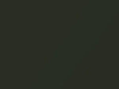 Oak Green Metallic touch-up paint for Porsche, code 265, 1999