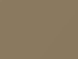 Pebble Beige touch-up paint for Ford, code 6, M1631A, T, 1968