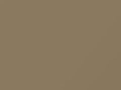 Pebble Beige touch-up paint for Ford, code 6, M1631A, T, 1967