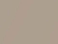 Light Beige Metallic touch-up paint for Oldsmobile, code 57, 9805, WA9805, 1995