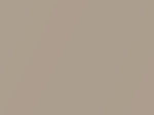 Light Beige Metallic touch-up paint for Oldsmobile 98 Regency, code 57, 9805, WA9805, 1994
