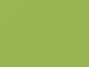 Light Green touch-up paint for Kia, code MV, 2008