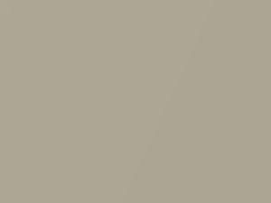 Mercedes-Benz Oyster Gold Metallic touch up paint 1678 2007 All Models