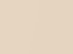 White Sandstone touch-up paint for Infiniti, code CH0, CHO, 1992