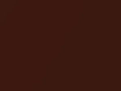 Chestnut Metallic touch-up paint for Bentley, code 8P, 9560116, K8U, LK8U, 2006