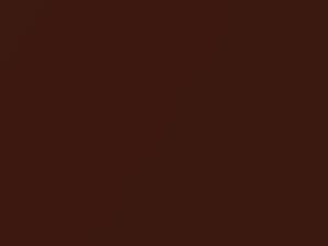 Chestnut Metallic touch-up paint for Bentley, code 8P, 9560116, K8U, LK8U, 2006