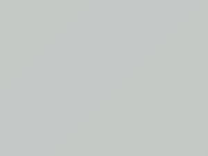 Blue White touch-up paint for Chevrolet, code 50, 8624, WA8624, 1992