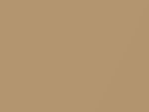 Sunburst Gold Metallic touch-up paint for Mercury Cougar, code 6924, BP, M6924A, 2001
