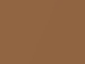 Burnt Amber Metallic touch-up paint for Ford, code A, V, 1967–2066