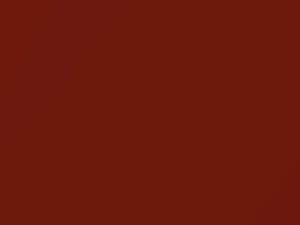 Bright Amber Metallic touch-up paint for Ford F450, code 6897, BN, M6897A, 1999