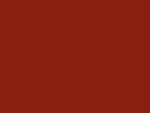 Vivid Orange Metallic touch-up paint for Smart, code CA3L, EAY, 2009