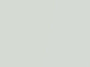 White Pearl touch-up paint for Lincoln Town Car, code 6864, M6864A, WF, 2001