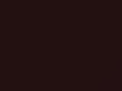 Red Pearl touch-up paint for Nissan, code AX8, 2004