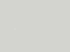 Starlight White Pearl touch-up paint for Mitsubishi Diamante, code CAW10017, W17, 2004