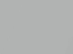 Mercedes-Benz Silver Arrow Metallic touch up paint 777 2005 All Models