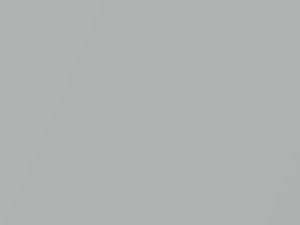 Mercedes-Benz Silver Arrow Metallic touch up paint 777 2005 All Models
