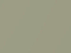 Iridium Metallic touch-up paint for Bentley, code 9560017, 2001