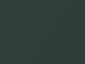 Malachite Green Metallic touch-up paint for Porsche 911 Turbo, code L2B5, 2010