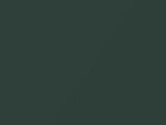 Malachite Green Metallic touch-up paint for Porsche 911 Turbo, code L2B5, 2010