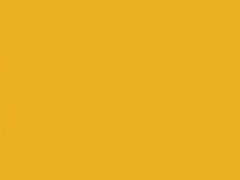 BMW Leucht Yellow Metallic touch up paint M02 2011 All Models