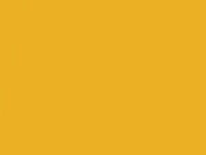 BMW Leucht Yellow Metallic touch up paint M02 2008 All Models