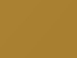 Panama Yellow touch-up paint for Volvo, code 248, 2002