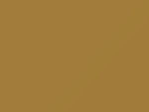 Inca Gold touch-up paint for Ford, code 4, M20J641, 1959