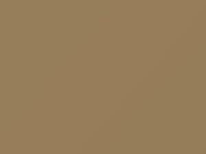 Sandune Beige touch-up paint for Chrysler, code AAY1T1, X, 1965