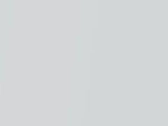 White Gold Pearl touch-up paint for Cadillac Deville, code 93, 961L, WA961L, 2004
