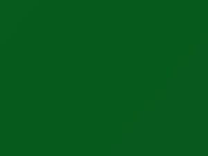 Sunbelt Green touch-up paint for Isuzu, code 989, G021P801-0, 2013
