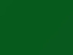 Sunbelt Green touch-up paint for Isuzu, code 989, G021P801-0, 1996