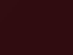 BMW Velvet Red Metallic touch up paint 903 2002 All Models