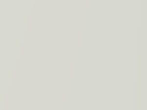 Avalanche Pearl touch-up paint for Nissan Sentra, code QT1, 2001