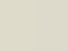 Diamond White Pearl touch-up paint for Toyota, code 051, 51, 1998