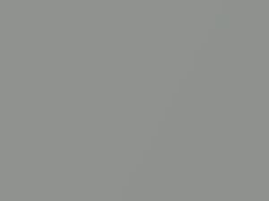 Light Smoke Metallic touch-up paint for Ford, code 1G, M6214A, YV, 1988