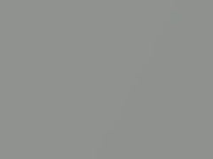 Light Smoke Metallic touch-up paint for Ford, code 1G, M6214A, YV, 1990