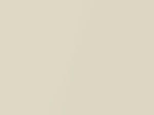 Magnolia Pearl touch-up paint for Audi A6, code 9005, D4 + alternatives, 2003