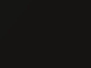 Black Pearl touch-up paint for Rolls Royce, code 9560080, 2002