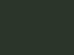 Oakgruen Metallic touch-up paint for Volkswagen, code 9977, L94E, V8, 1997
