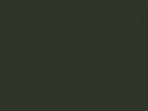 Oakgruen Metallic touch-up paint for Volkswagen, code 9977, L94E, V8, 1997