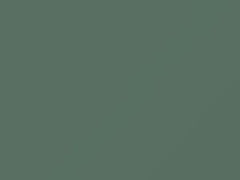 Verde Chiaro touch-up paint for Fiat, code 333B, 2016