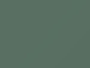 Verde Chiaro touch-up paint for Fiat, code 333B, 2016